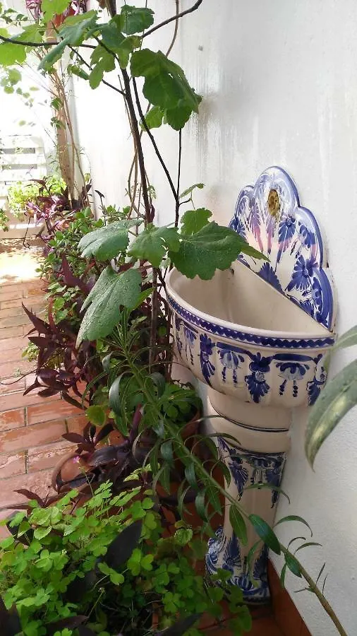 Patios Con Encanto Kordoba 0*,  Hiszpania